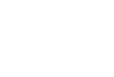 Sustainable Energy Engineering Limited